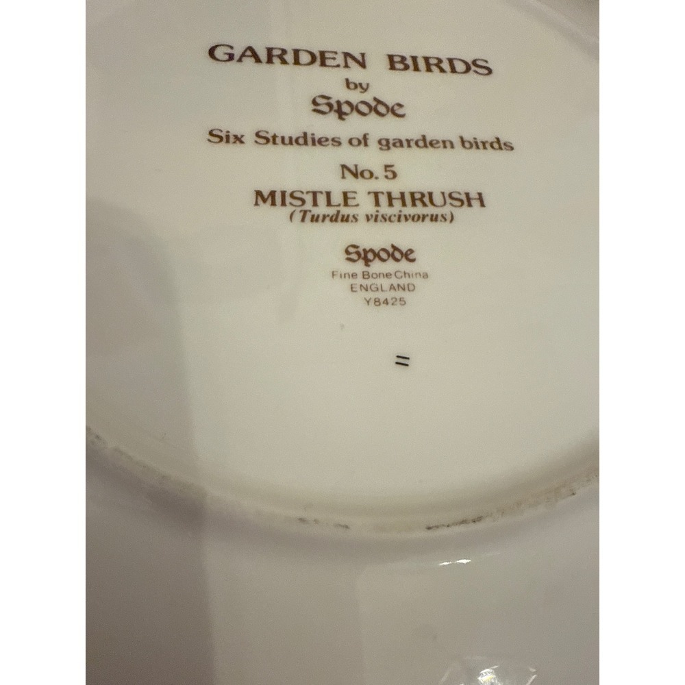 Spode Garden Birds Plate No. 5 of 6 Mistle Thrush Plate England Gold Trim 9.5" - Picture 6 of 7